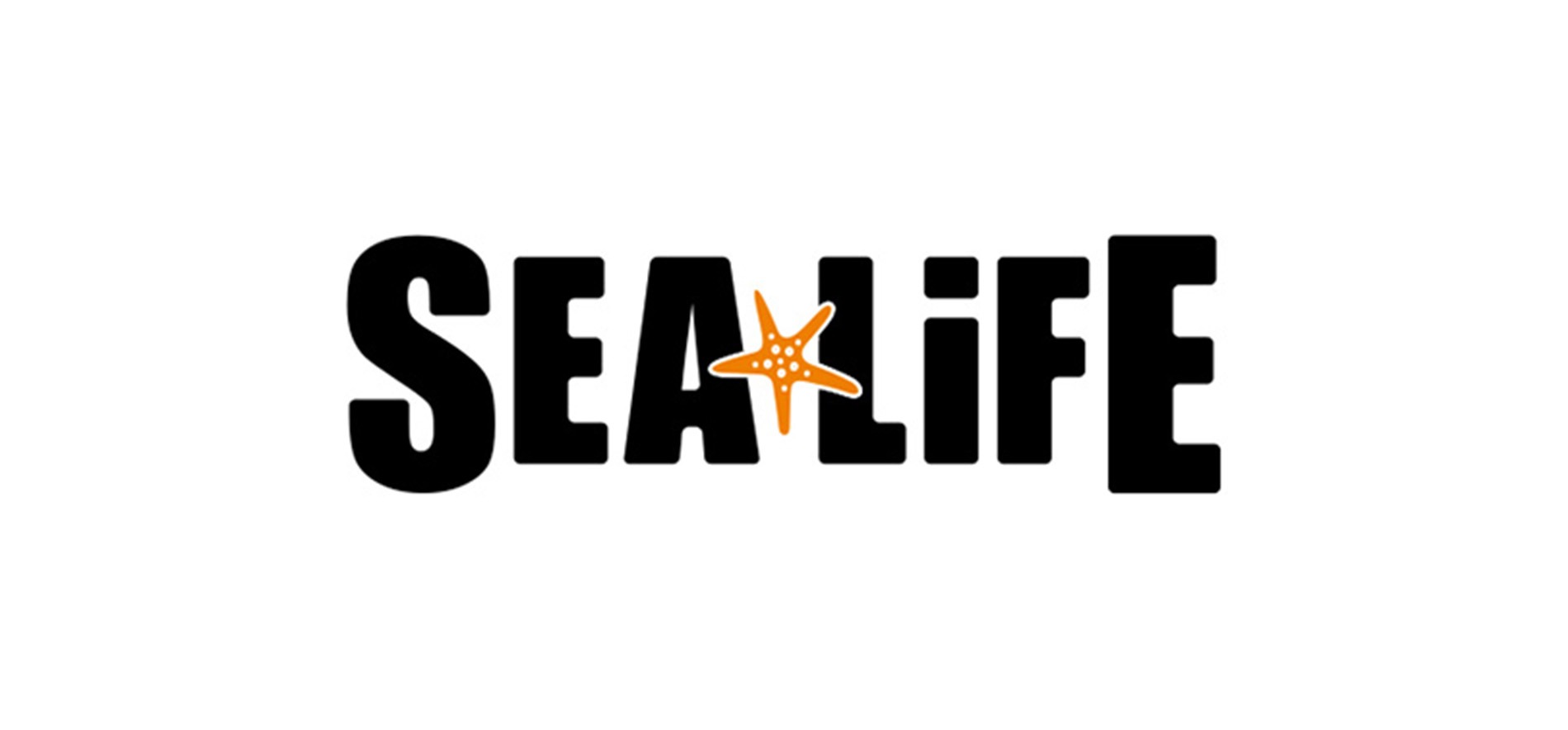 G4 Sealife