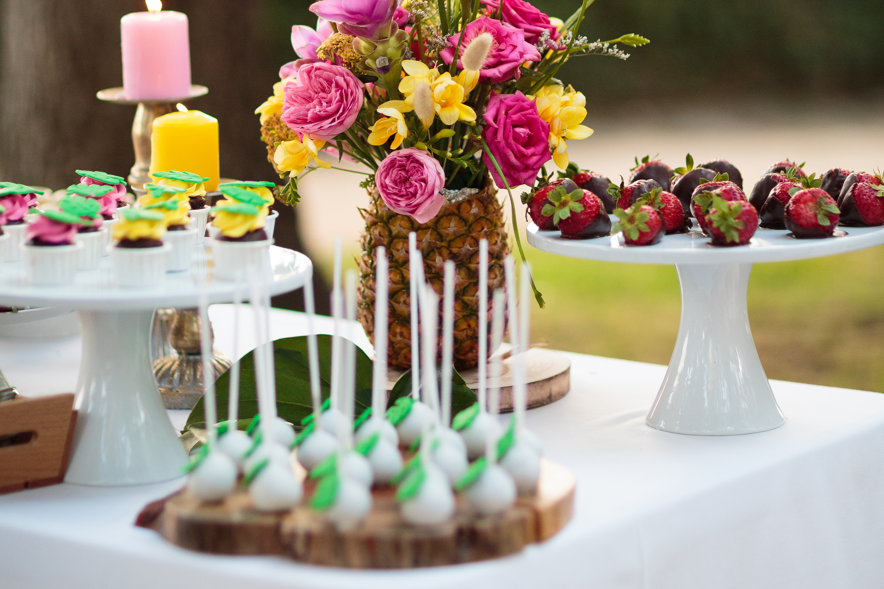 catering em casa e ao domicílio